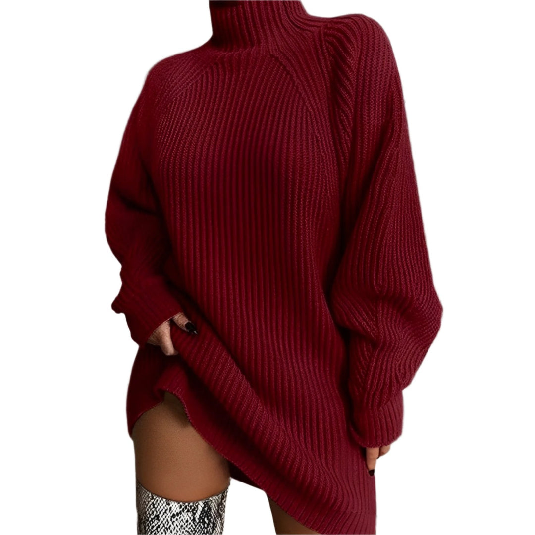 Drune | Warmes Strickkleid Mit Rollkragen
