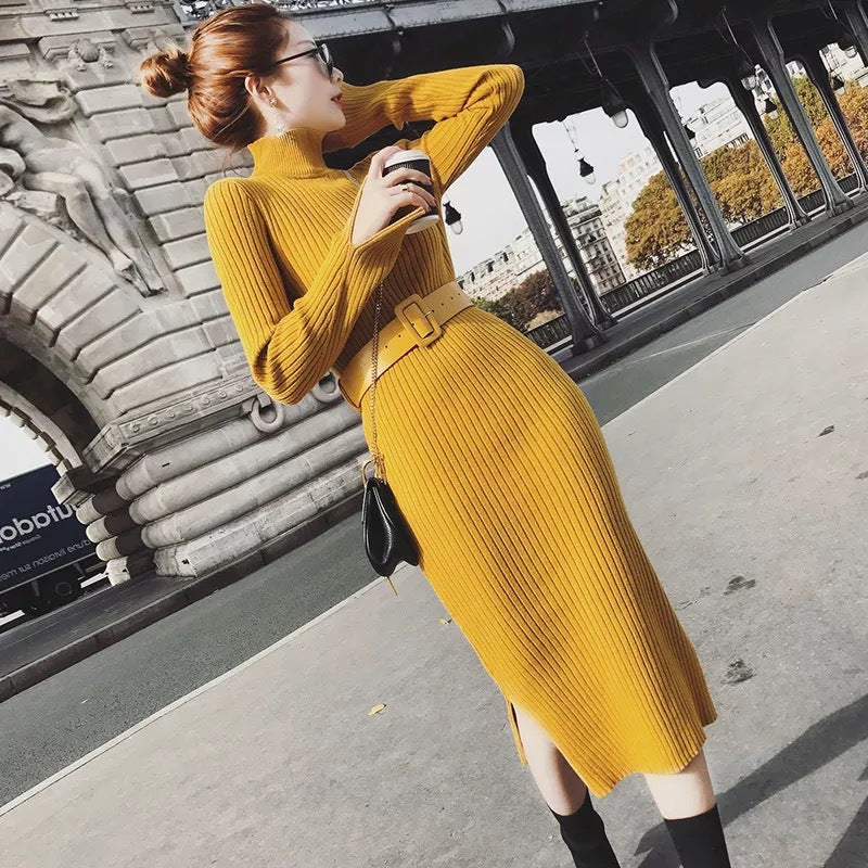 Damen Strickkleid mit hohem Kragen und tailliertem Schnitt Drune