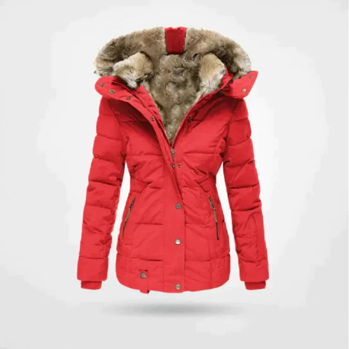 Drune | Winterjacke Kurz Gefüttert, Taillierte Passform