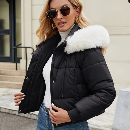 Drune | Winterjacke Gepolsterte Eleganz und Komfort