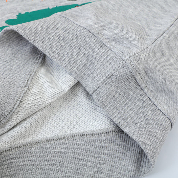 Jungen Sweatshirt mit lebendigem Dinosaurier-Motiv Drune
