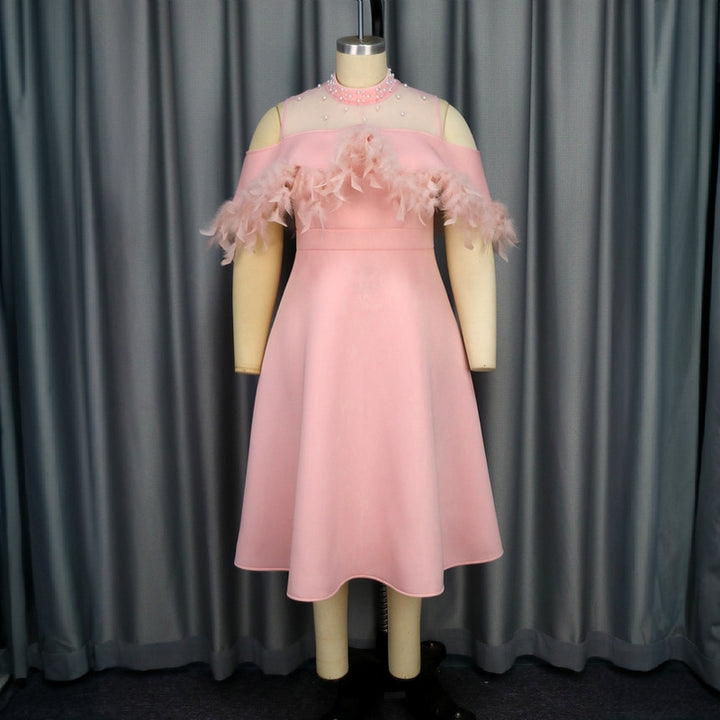 Damen elegantes Kleid mit transparenten Puffärmeln und dekorativen Federdetails Drune