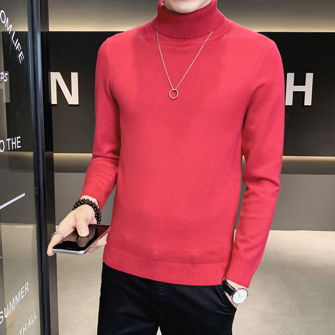 Herren Pullover mit hohem Kragen aus weicher Strickware Drune