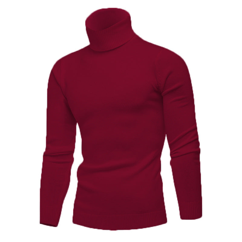 Herren Rollkragenpullover aus feiner Baumwolle mit figurbetontem Schnitt Drune