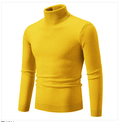 Herren Rollkragenpullover aus weichem Feinstrick Drune