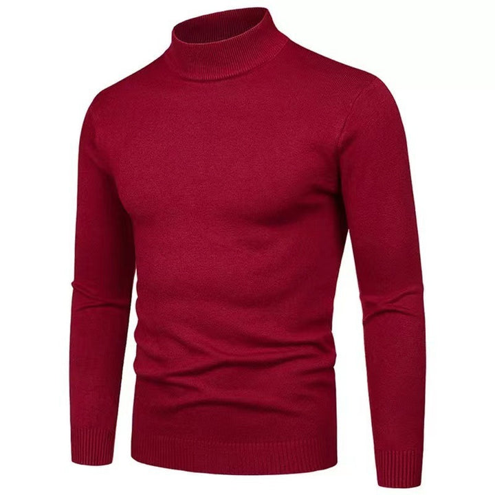 Herren Rollkragenpullover aus hochwertigem Strickmaterial Drune