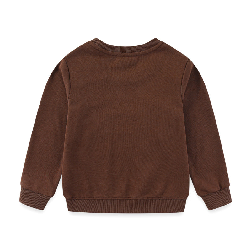 Jungen Sweatshirt mit lebhaftem Dinosaurier-Stickdesign Drune