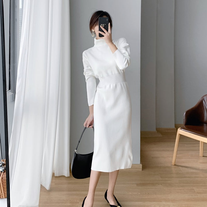 Damen Strickkleid mit hohem Kragen und taillierter Silhouette Drune