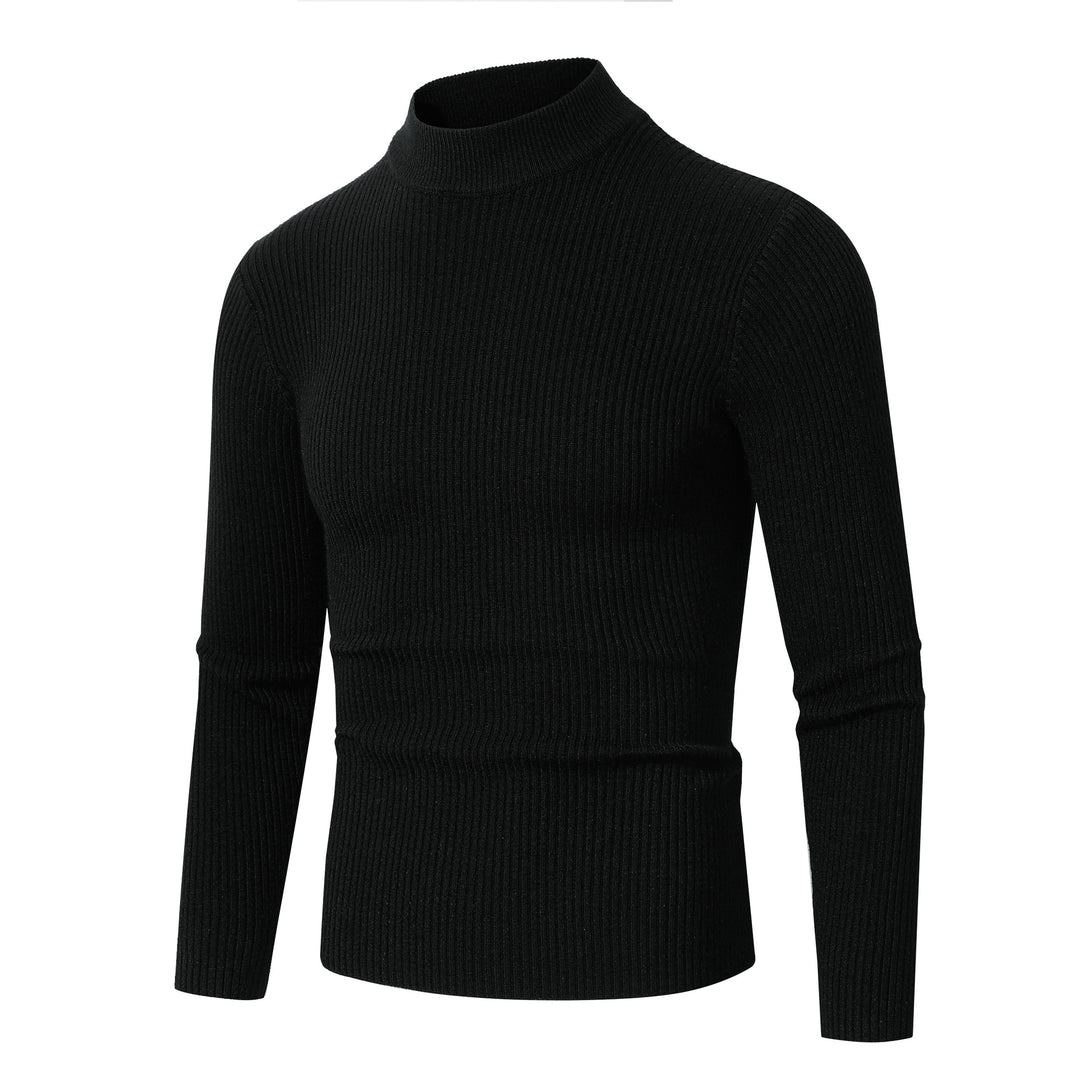 Herren Rollkragenpullover aus feinem Rippstrickmaterial Drune