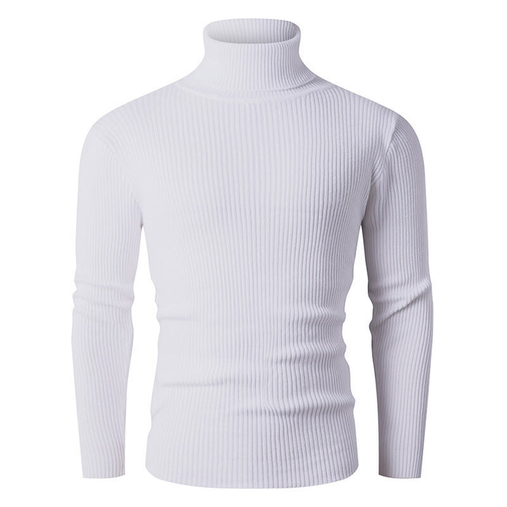 Herren eleganter Rollkragenpullover aus strukturiertem Strickmaterial Drune