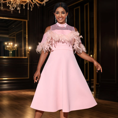 Damen elegantes Kleid mit transparenten Puffärmeln und dekorativen Federdetails Drune