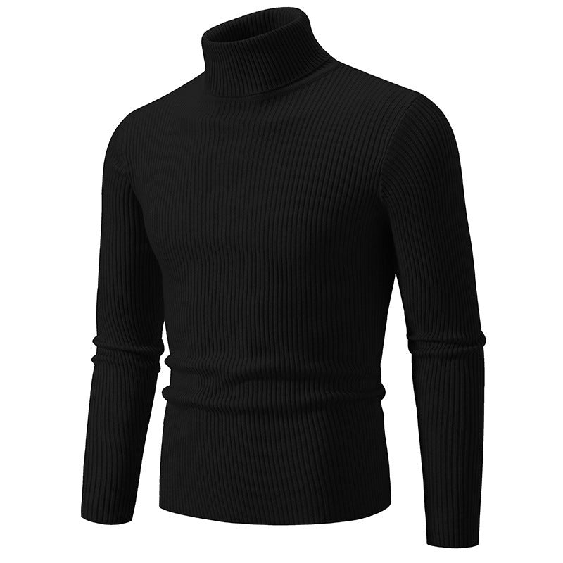 Herren feiner Rollkragenpullover aus langlebigem Strickmaterial Drune