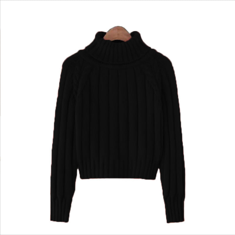 Damen Strickpullover mit hohem Kragen und Rippstruktur Drune