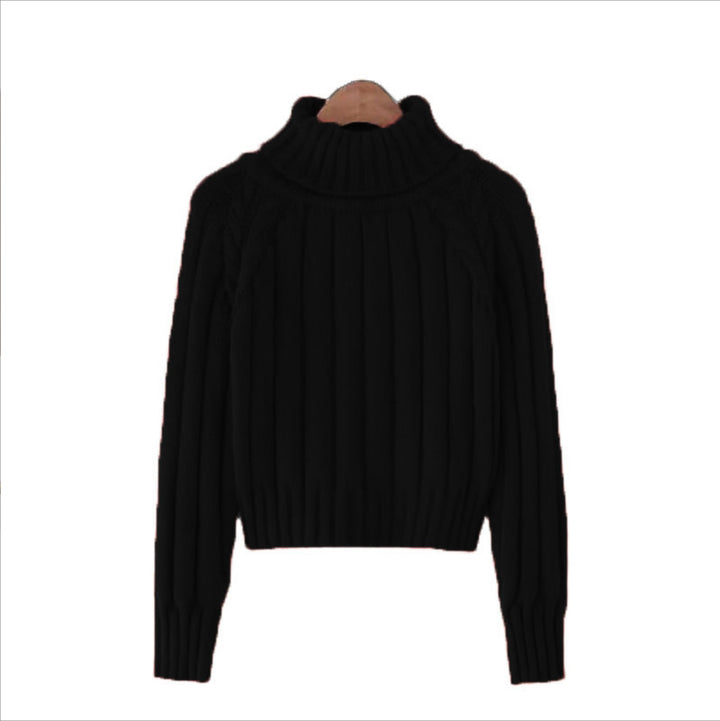 Damen Strickpullover mit hohem Kragen und Rippstruktur Drune