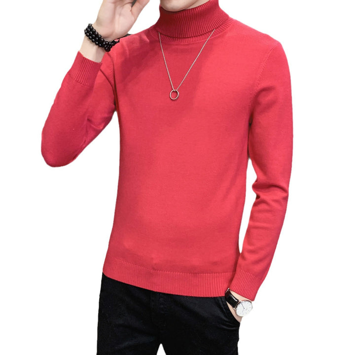 Herren Pullover mit hohem Kragen aus weicher Strickware Drune