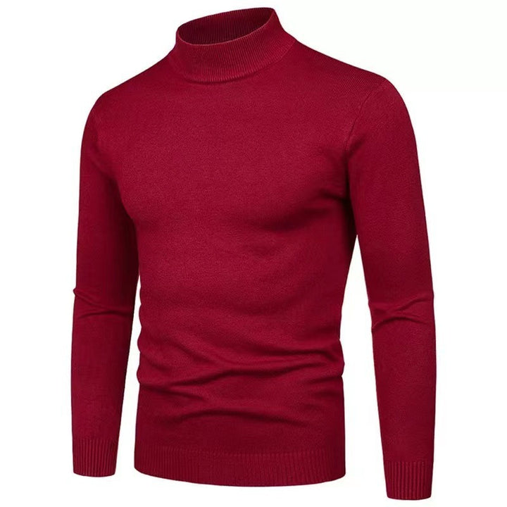 Herren Rollkragenpullover aus hochwertigem Strickmaterial mit feiner Textur Drune