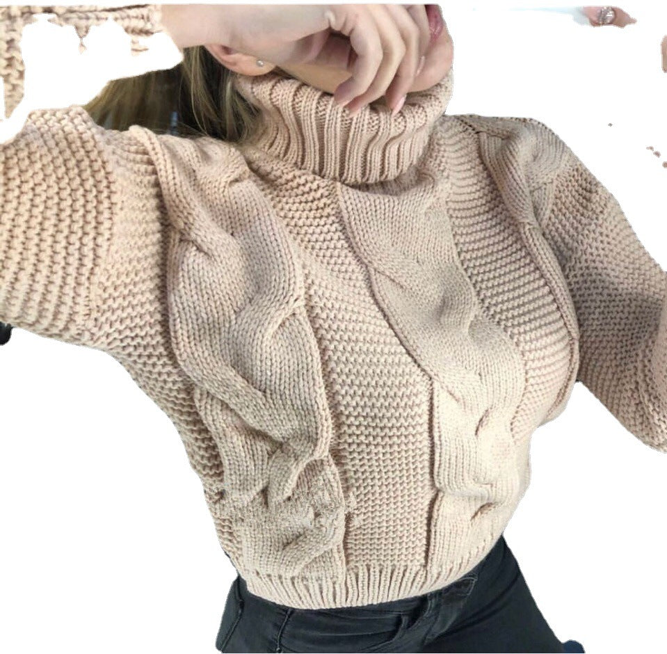 Damen Strickpullover mit Rollkragen und Zopfdesign Drune