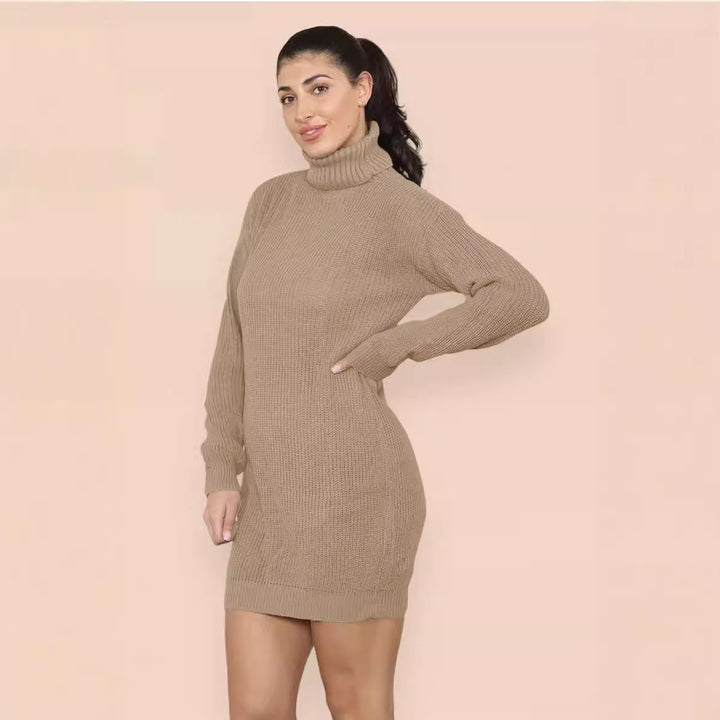 Damen Strickkleid mit hohem Rollkragen und lässigem Schnitt Drune