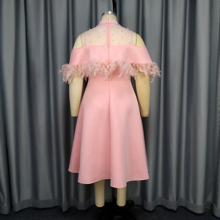 Damen elegantes Kleid mit transparenten Puffärmeln und dekorativen Federdetails Drune