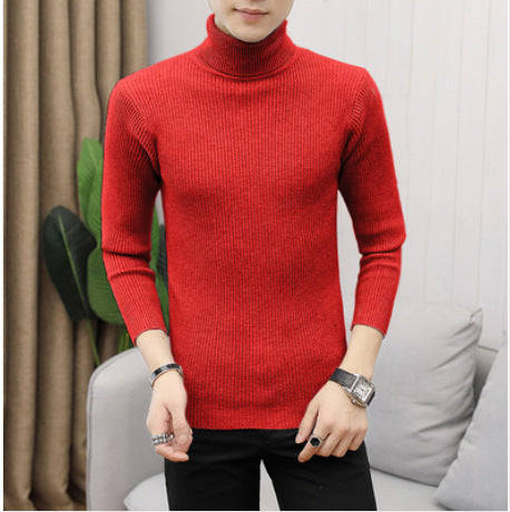 Herren Rollkragenpullover aus hochwertigem Strickmaterial mit Rippstruktur Drune