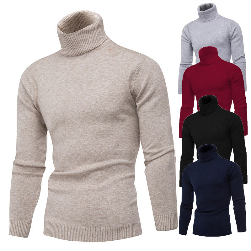 Herren Rollkragenpullover aus feiner Baumwolle mit figurbetontem Schnitt Drune