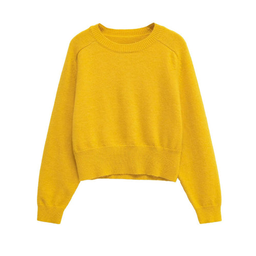 Damen Modischer cropped Pullover aus weichem Strickmaterial Drune