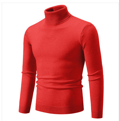 Herren Rollkragenpullover aus weichem Feinstrick Drune