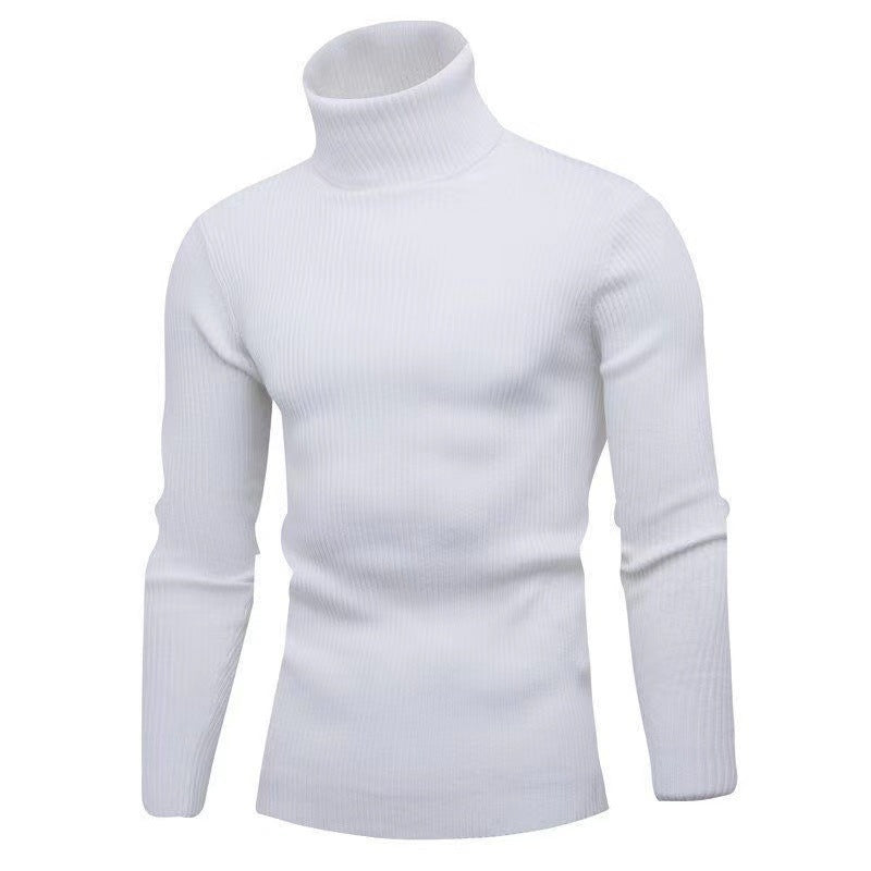 Herren modischer Rollkragenpullover mit feiner Rippstruktur Drune