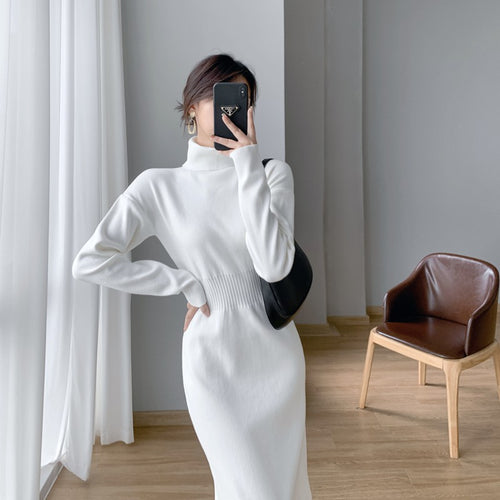 Damen Strickkleid mit hohem Kragen und taillierter Silhouette Drune