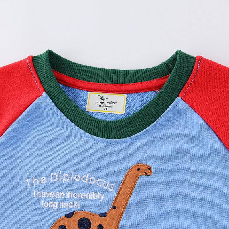 Jungen Sweatshirt mit lustigem Dinosaurierdesign Drune
