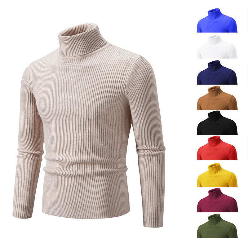 Herren feiner Rollkragenpullover aus langlebigem Strickmaterial Drune