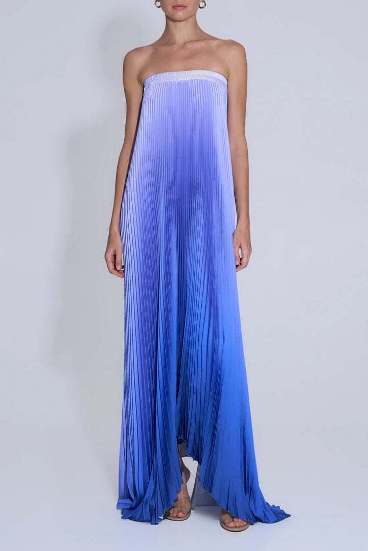 Damen Maxi-Kleid mit kunstvollem Plissee-Design und floralem Druck Drune
