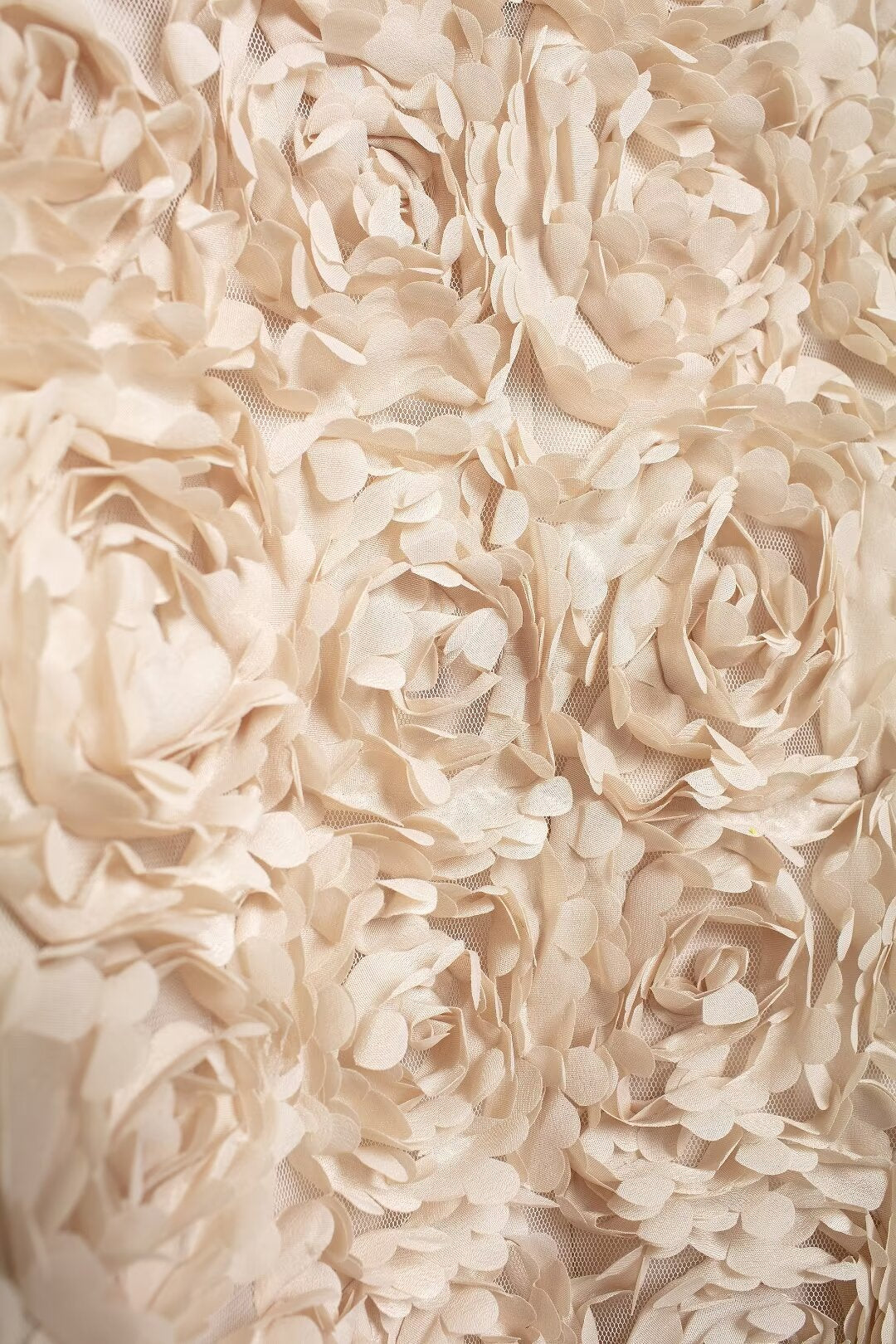 Drune | Floral Applikation Kurzjacke