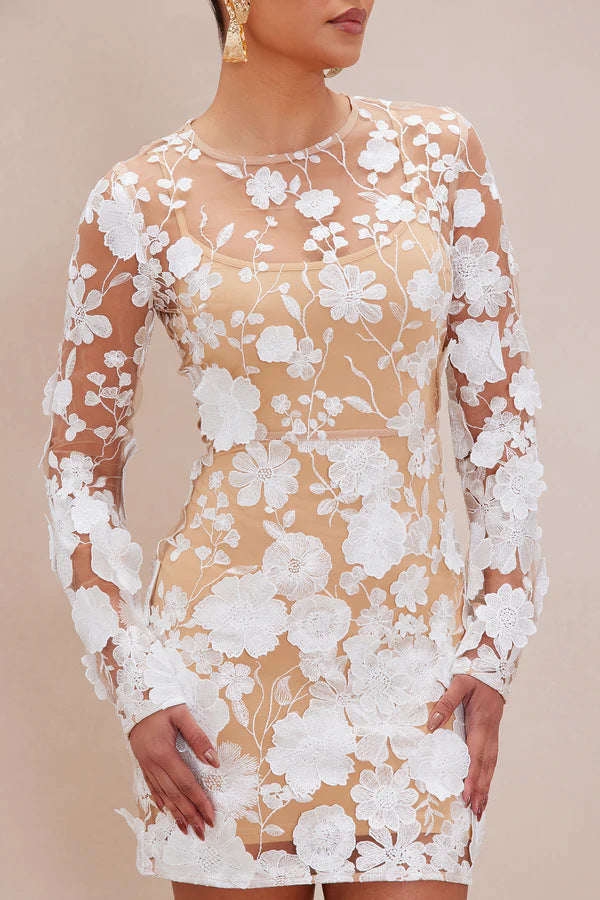 Damen Spitzenkleid mit floralen Applikationen und langen Ärmeln Drune