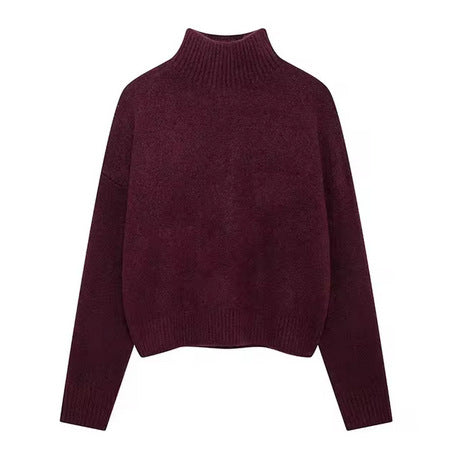 Damen Rollkragenpullover aus weicher Strickware Drune
