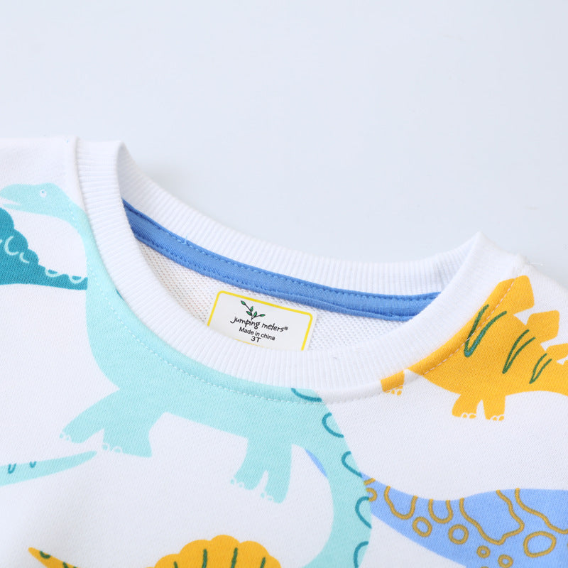 Jungen Sweatshirt mit buntem Dinosaurier-Design Drune