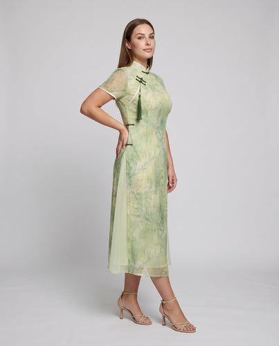 Damen Chiffon-Cheongsam Stehkragen Stickerei Elegant
