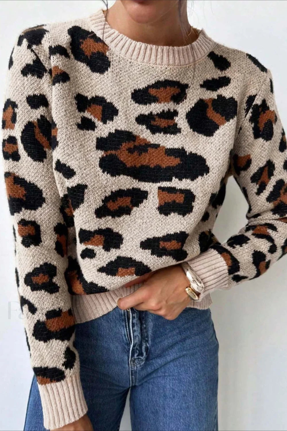 Drune | Pullover mit Rundhalsausschnitt und Leopardenmuster in Blockfarben