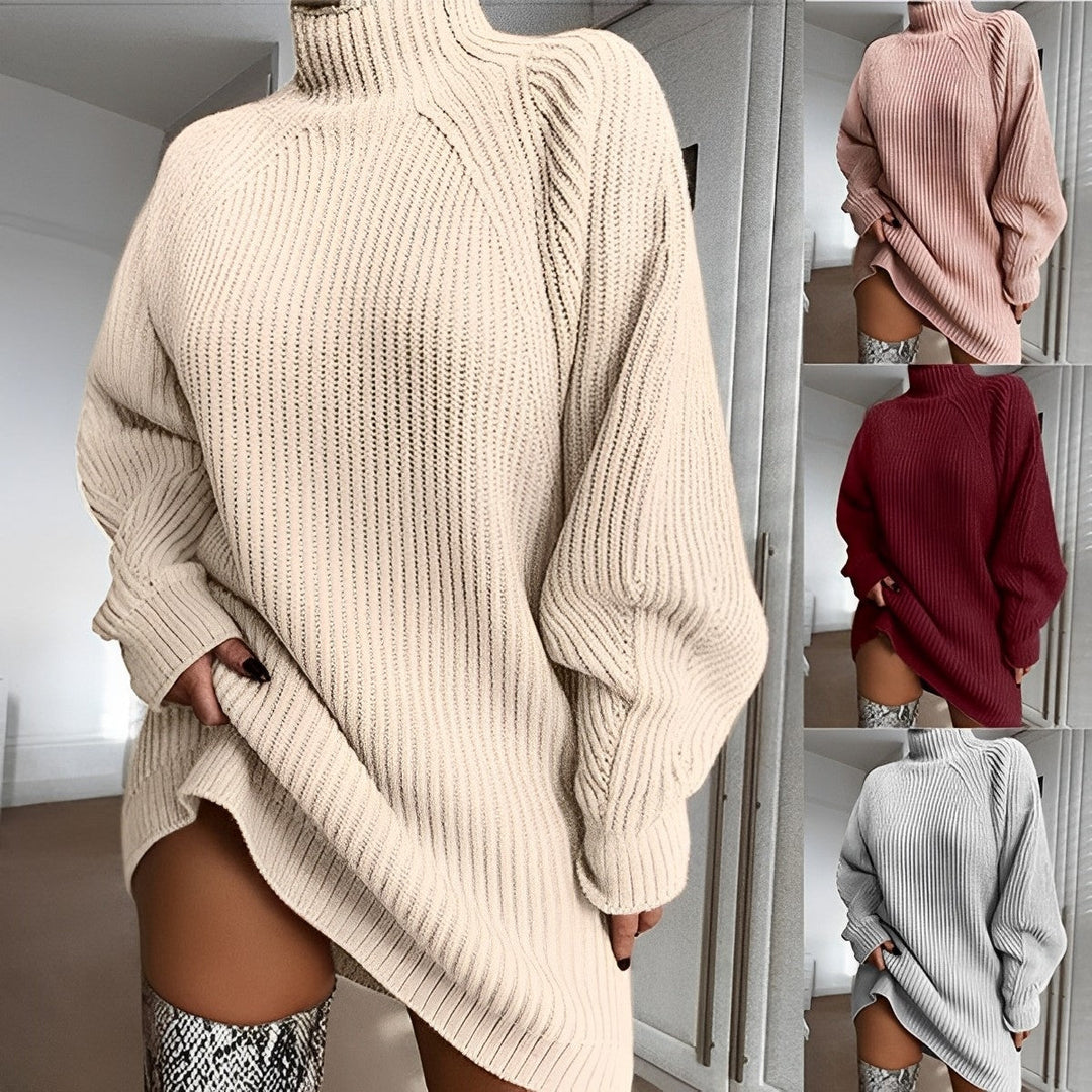 Drune | Warmes Strickkleid Mit Rollkragen